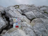 13. vrh je blizu